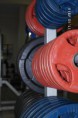 /album/athletixsport/sam-1256-jpg/