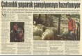 /album/resim-galerisi/sam%c4%b1t3-jpg1/